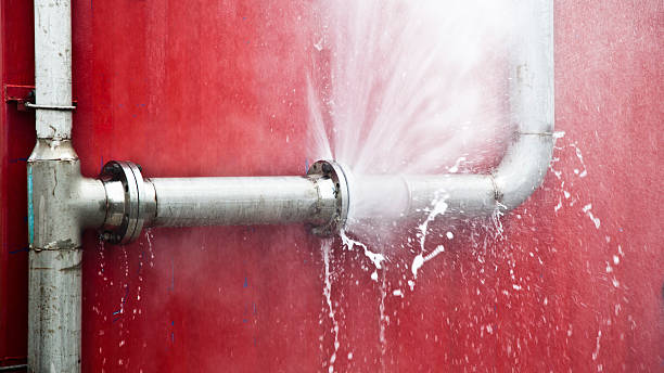Best Local water damage restoration  in Tiffin, OH