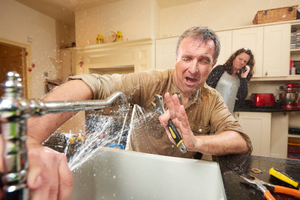 Best Water damage cleanup near me  in Tiffin, OH